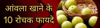 आंवला, जिसे भारतीय गूज़बेरी के नाम से भी जाना जाता है, भारतीय आयुर्वेद में एक अमूल्य औषधि के रूप में प्रतिष्ठित है। आइए जानते हैं आंवला के 10 प्रमुख फायदे, जो इसे आपके आहार का अभिन्न हिस्सा बनाने के लिए प्रेरित करेंगे।
